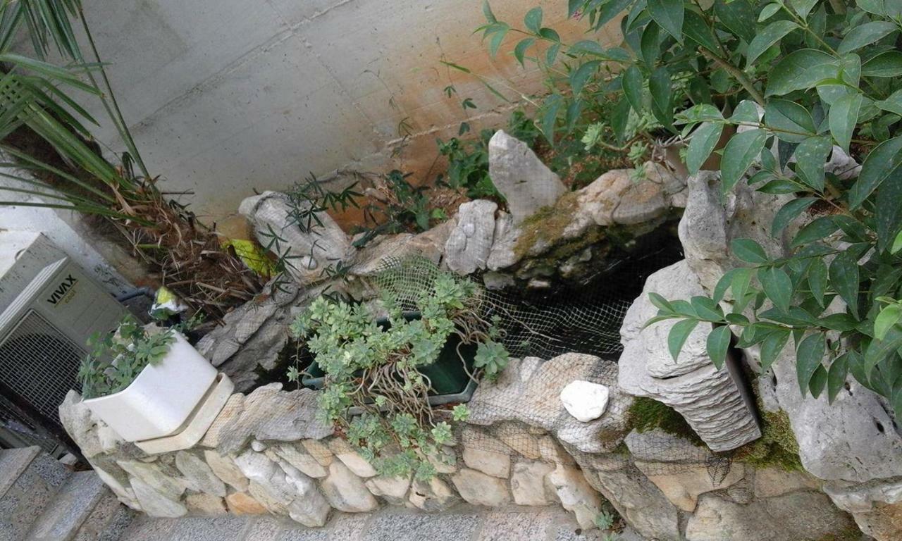 Apartment Jozefina Porec Ngoại thất bức ảnh